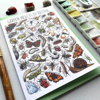 Garden Insects Of Britain Greeting Card, 5 of 12