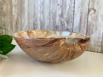 Coconut Shell Bowl With Pearlised Lining Natural Bowl, 4 of 10