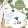Plantable Thank You Cards, thumbnail 1 of 5