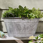 Oval Planter Tub With Handles, thumbnail 1 of 5