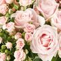 Pink Classic Fresh Rose Super Bouquet, thumbnail 3 of 3