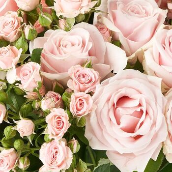 Pink Classic Fresh Rose Super Bouquet, 3 of 3