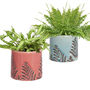 Personalised Crackle Fern Ceramic Garden Plant Pot, thumbnail 2 of 7
