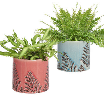 Personalised Crackle Fern Ceramic Garden Plant Pot, 2 of 7