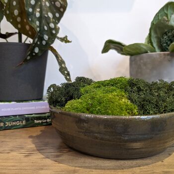 Preserved Moss In A Large Ceramic Handmade Bowl, 6 of 8