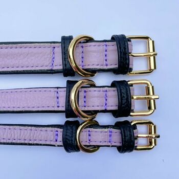 Handmade Italian Leather Padded Lilac Dog Puppy Collar, 6 of 7