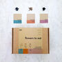 Grow Your Own Edible Flowers Seed Kit, thumbnail 1 of 7
