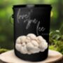 Romantic Lion’s Mane Grow Kit Gift For Him And Her, thumbnail 2 of 2