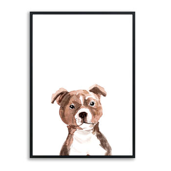 Staffordshire Bull Terrier Framed Dog Print, 2 of 2