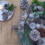 Natural Assortment Of Pine Cones White Christmas, thumbnail 1 of 5