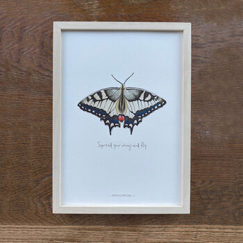 Swallowtail Illustrated Butterfly Print, 4 of 6