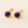 Yellow Gold Plated February Amethyst Birthstone Stud Earrings, thumbnail 1 of 4