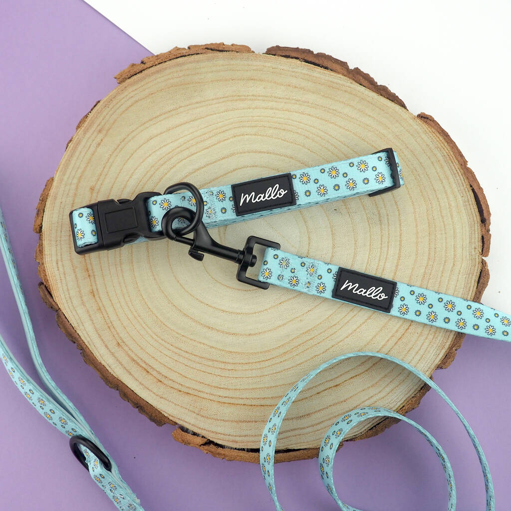 Daisy Dog Harness, Collar And Lead Set By Mallo