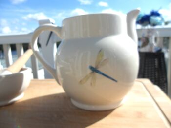 Extra Large Dragonfly Dutch Jug, 4 of 12