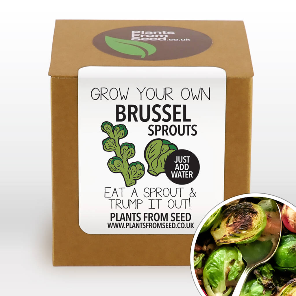 Complete Grow Your Own Brussel Sprouts Plant Kit By Plants From Seed ...