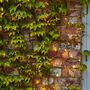 Autumnal Light Up Ivy Garland, thumbnail 3 of 6