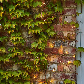 Autumnal Light Up Ivy Garland, 3 of 6