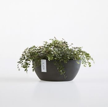 Ecopots Sofia Oval Plant Pot Made From Recycled Plastic, 4 of 9
