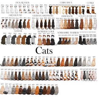 Personalised Dog Mother's Day Card, 4 of 7