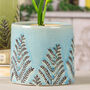 Leaf Patterned Blue Ceramic Plant Pot, thumbnail 7 of 9