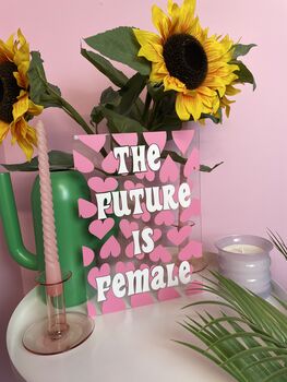 The Future Is Female Clear Acrylic Vinyl Plaque Decor, 11 of 11