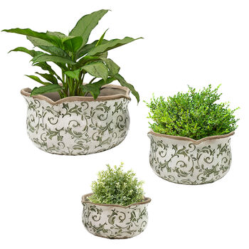 Set Of Three Irina Green Botanical Planters, 2 of 6