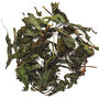 Peppermint Herbal Tea Infusion 75g Tin, thumbnail 2 of 4