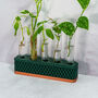Propagation Station | Copper And Forest Green, thumbnail 3 of 4