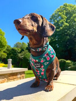 Vintage Clover Green Peonies Dog Collar, 9 of 9