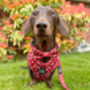 Poppy Toadstool Polkas Dog Collar, thumbnail 6 of 9