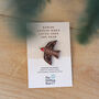 'Robins Appear When Loved Ones Are Near' Pin Badge, thumbnail 5 of 7