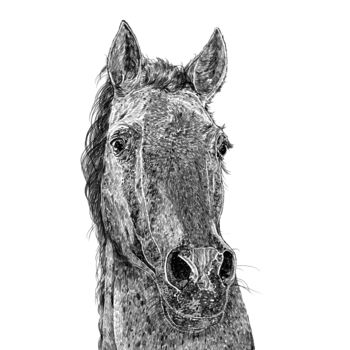 Horse Print, 2 of 3