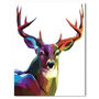 She's Looking At You, Deer Canvas Art, thumbnail 4 of 4