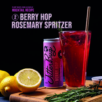 'Berry Hop' Healthy Soft Drink Acv Seltzer Pack, 2 of 12