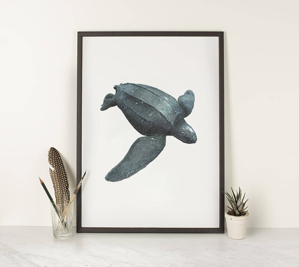 Leatherback Turtle Giclée Art Print By Ben Rothery Illustrator