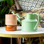 Houseplant Pot And Watering Can Gift Set, thumbnail 1 of 4