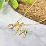 Delicate Initial And Birthstone Gold Vermeil Necklace, thumbnail 1 of 5