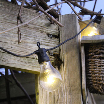 Garden Party String Bulb Lights, 3 of 4