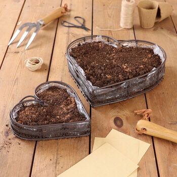 Set Of Two Heart Planter Trays, 3 of 7
