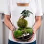 Diy Kokedama Terrarium Kit H: 42 Cm | 'Chamonix', thumbnail 6 of 12