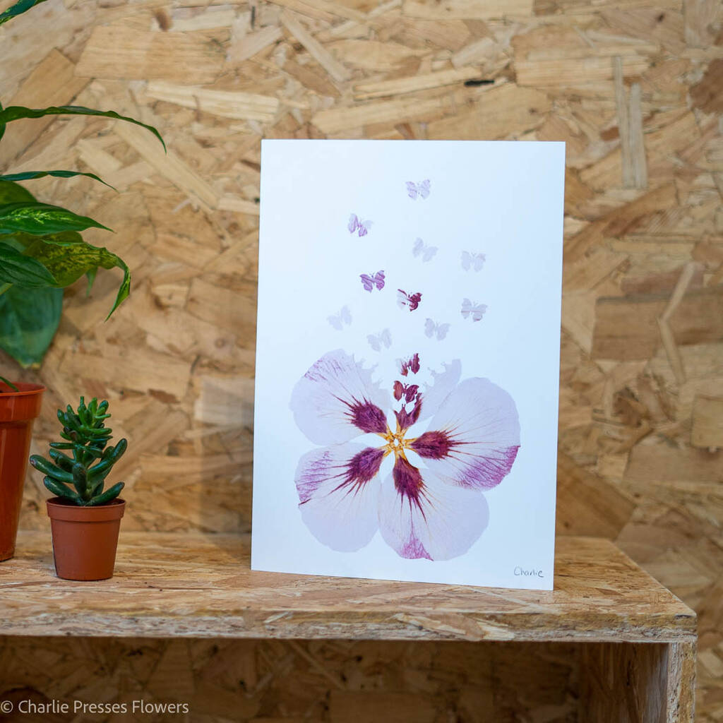 Pink Hibiscus With Butterflies A4 Giclee Print, 1 of 3