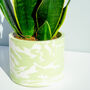 Handmade Sage Green And White Marble Plant Pot, thumbnail 1 of 6