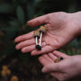 Autumn Foraging Workshop For One In The South Downs, thumbnail 8 of 12