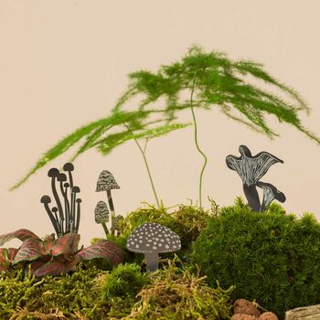 Mini Mushrooms, Terrarium/Pot Decoration, 3 of 3
