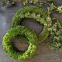Moss Wreath Ring | Eight Or 10inch To Decorate, thumbnail 5 of 9