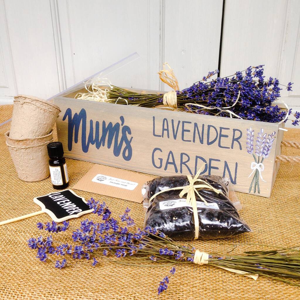 Personalised Grow Your Own Lavender Garden By Potting Shed Designs