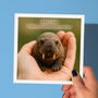 Personalised 'Mini Walrus In Palm' Teacher Card, thumbnail 2 of 5
