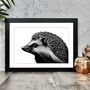 Black And White Hedgehog Art Print, thumbnail 1 of 2