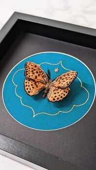 3D Butterfly Embroidery Art Mounted And Framed, 8 of 9