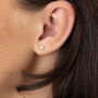 Sterling Silver Faceted Star Stud Earrings, thumbnail 1 of 4